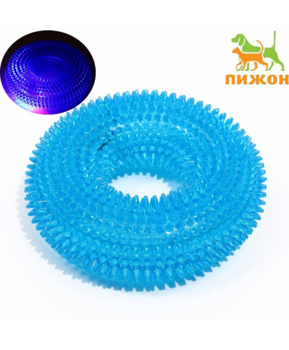Игрушка для собак Кольцо жевательное TPR светящееся голубое 12см Пижон Игрушка для собак Кольцо жевательное TPR светящееся голубое 12см Пижон