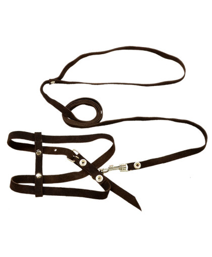 Комплект для кошек №1 шлейка + поводок 12мм спилок велюр Зооник Комплект для кошек №1 шлейка + поводок 12мм спилок велюр Зооник