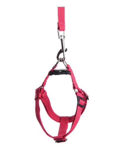 Комплект для собак средних пород шлейка + поводок 2м стропа 20мм Зооник*5 Комплект для собак средних пород шлейка + поводок 2м стропа 20мм Зооник*5