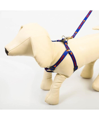  Комплект для собак Шлейка  26-39см*1см + поводок 120см*1см капрон Super Dog