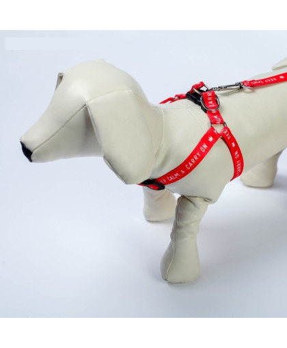  Комплект для собак Шлейка  36-49см*1,5см + поводок 120см*1,5см капрон Keep calm & carry on