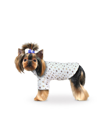  Футболка Звезды золотые р.М спинка  25-28см ZooTrend