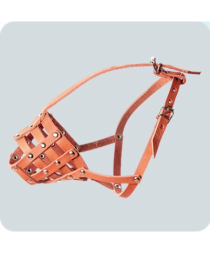 Намордник кож. №2 (овчарка малая) Зооник Намордник кож. №2 (овчарка малая) Зооник