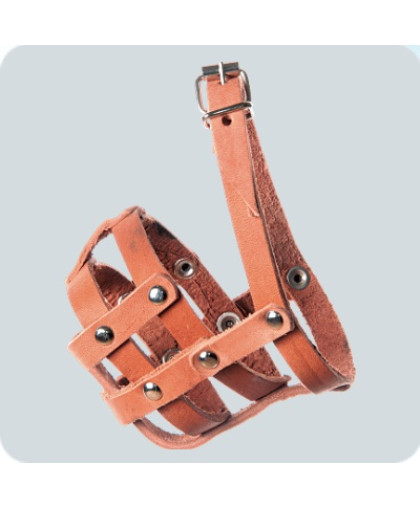 Намордник кож. №0 (пудель, мелкие породы) Зооник Намордник кож. №0 (пудель, мелкие породы) Зооник