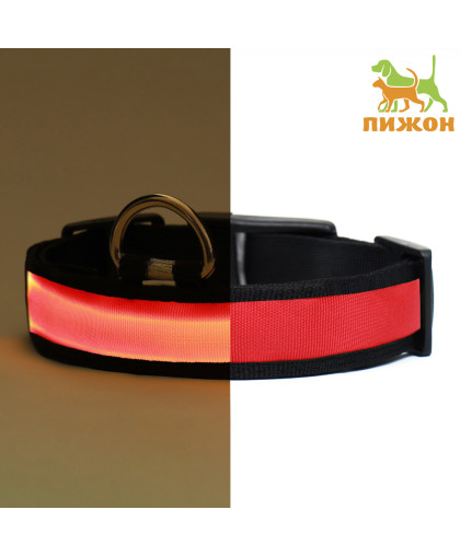Ошейник для собак с подсветкой Flash 3 режима свечения рL ОШ 45-52см *2,5см красный Пижон Ошейник для собак с подсветкой Flash 3 режима свечения рL ОШ 45-52см *2,5см красный Пижон