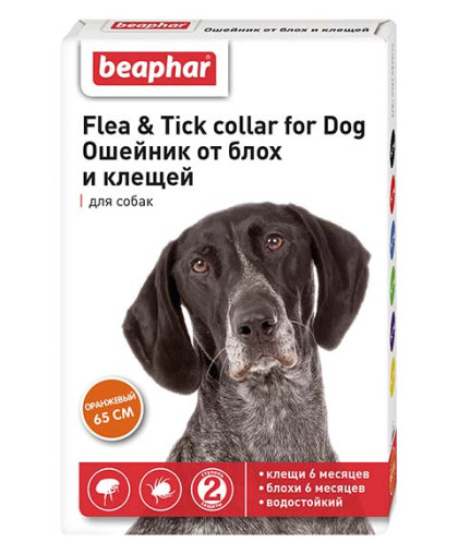 Беафар ошейник для собак оранжевый *12 Беафар ошейник для собак оранжевый *12