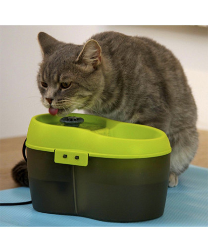 Автопоилка CatH2O с функцией гигиены полости рта зеленая 2л Feed-Ex Автопоилка CatH2O с функцией гигиены полости рта зеленая 2л Feed-Ex