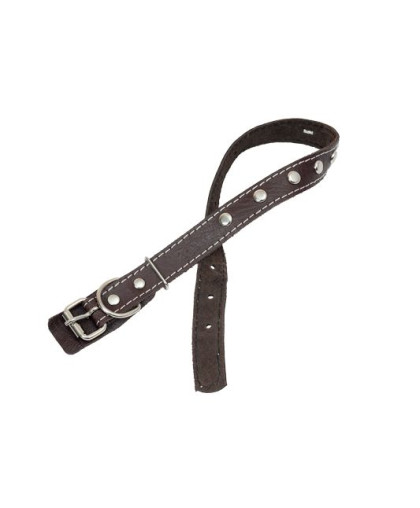 Ошейник кож. 20мм 1слой-45см цветной украш. СА Ошейник кож. 20мм 1слой-45см цветной украш. СА