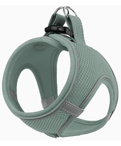  Шлейка-жилет для собак Favorite рМ ОШ  32-34см ОГ 44-48см анатомическая дышащая мятная Уют