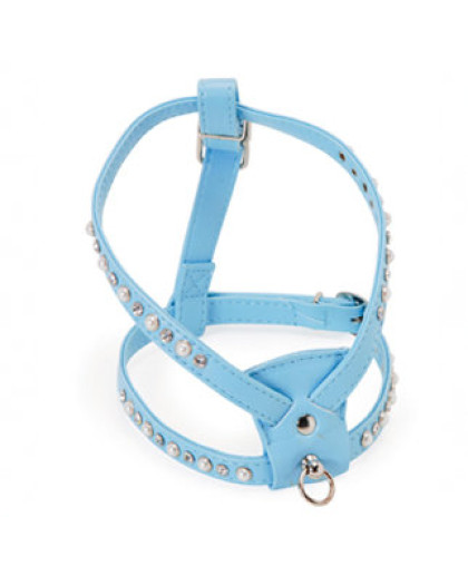 Шлейка для собак со стразами голубая LION
