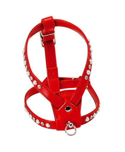 Шлейка для собак со стразами красная LION