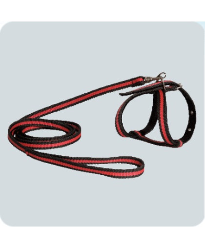 Комплект для собак мелких пород Шлейка + поводок 1,5м*14мм капрон Зооник Комплект для собак мелких пород Шлейка + поводок 1,5м*14мм капрон Зооник