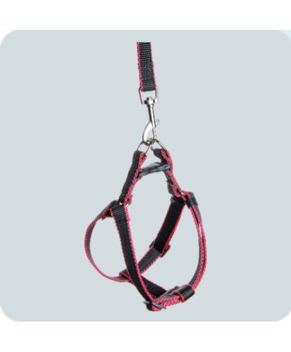 Комплект для собак средних пород шлейка + поводок 2м капрон 20мм Зооник*5 Комплект для собак средних пород шлейка + поводок 2м капрон 20мм Зооник*5