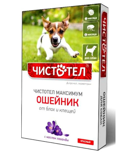Чистотел Максимум Ошейник для собак красный 4 месяца*100
