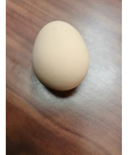 Игрушка для кошек Яйцо попрыгун 54мм Антицарапки*10 Игрушка для кошек Яйцо попрыгун 54мм Антицарапки*10