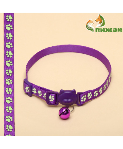 Ошейник для кошек Душечка светящийся с бубенчиком 30*1см полиэстер фиолетовый Пижон Ошейник для кошек Душечка светящийся с бубенчиком 30*1см полиэстер фиолетовый Пижон