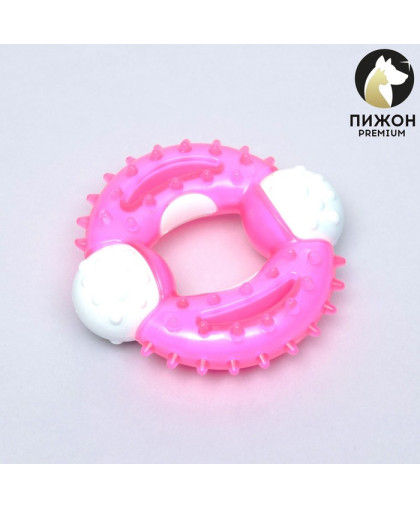 Игрушка для собак Кольцо с шипами пластик твердый+мягкий 10см розовый Пижон Игрушка для собак Кольцо с шипами пластик твердый+мягкий 10см розовый Пижон