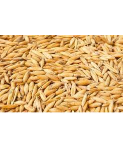  Овес Бим не травленый  200 гр