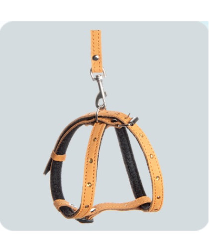 Комплект для щенков и собак мелких пород шлейка 14мм + поводок 12мм кожа со стразами Зооник Комплект для щенков и собак мелких пород шлейка 14мм + поводок 12мм кожа со стразами Зооник