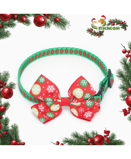 Ошейник для кошек и собак Подарки капрон красный 30*1см Пижон Ошейник для кошек и собак Подарки капрон красный 30*1см Пижон