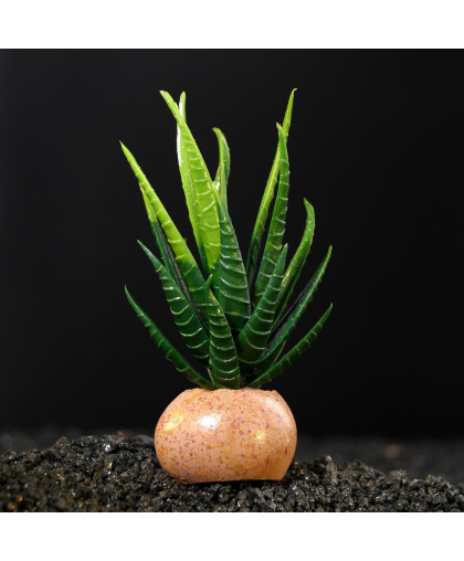 Растение аквариумное искусственное на камне 6*6*12см Пижон Растение аквариумное искусственное на камне 6*6*12см Пижон