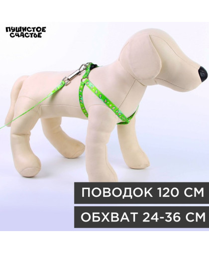  Комплект для собак Шлейка  24-36см*1см + Поводок 120см*1см Авокадо Пижон