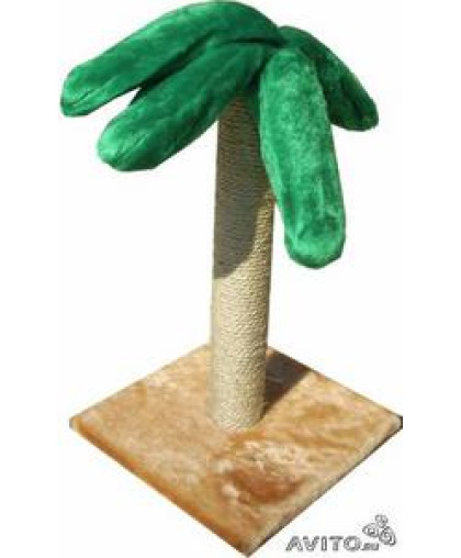  Когтеточка Пальма малая  50см (СА)