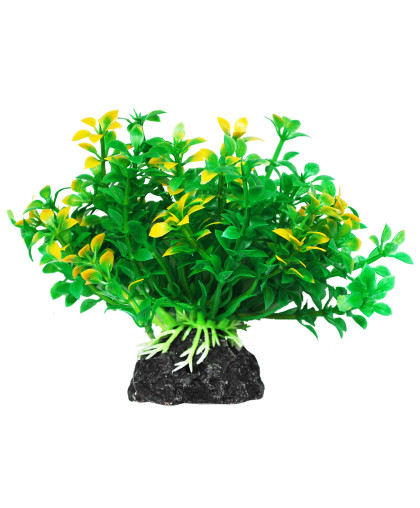 Растение аквариумное Микрантемум зелено-желтое 11см Уют Растение аквариумное Микрантемум зелено-желтое 11см Уют