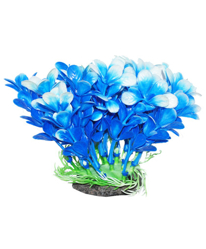 Растение аквариумное Людвигия сине-белая 12см Уют Растение аквариумное Людвигия сине-белая 12см Уют