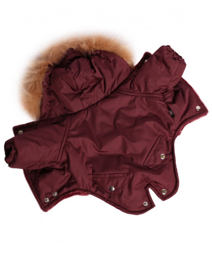 Комбинезон утепленный Winter парка р.S, спинка 25см с капюшоном LION Комбинезон утепленный Winter парка р.S, спинка 25см с капюшоном LION