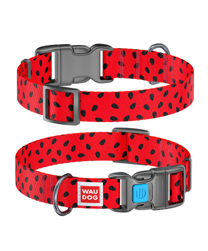  Ошейник для собак нейлоновый с QR паспортом Арбуз  20мм*24-40см WauDog CoLLaR
