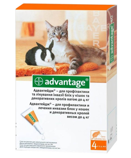 Адвантейдж 40 для кошек до 4кг, 1 пипетка *4 Адвантейдж 40 для кошек до 4кг, 1 пипетка *4