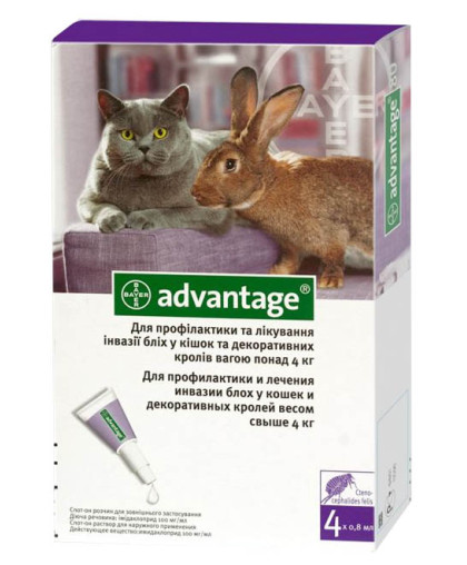Адвантейдж 80 для кошек 4-8кг, 1пипетка *4 (от блох) Адвантейдж 80 для кошек 4-8кг, 1пипетка *4 (от блох)