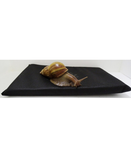 Мат для улиток 15*25см Мат для улиток 15*25см