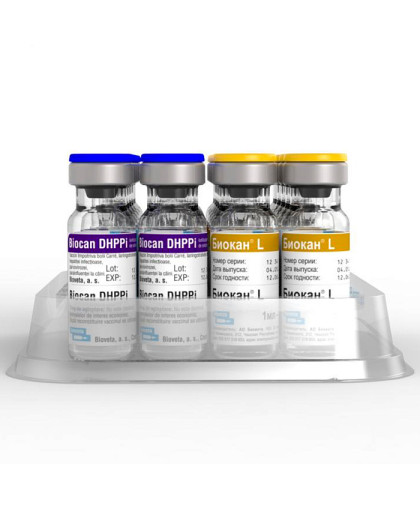 Биокан DHPPI+L 1 доза*10 (чума, гепатит,ларинготрахеита,парвовирус,парагрипп,лептоспироз собак) Биокан DHPPI+L 1 доза*10 (чума, гепатит,ларинготрахеита,парвовирус,парагрипп,лептоспироз собак)