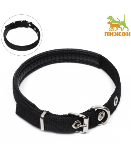 Ошейник для собак Комфорт полиэстер/искусственная кожа 39см*1,5см черный Пижон Ошейник для собак Комфорт полиэстер/искусственная кожа 39см*1,5см черный Пижон