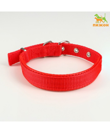 Ошейник для собак Комфорт полиэстер/искусственная кожа 45см*2см красный Пижон Ошейник для собак Комфорт полиэстер/искусственная кожа 45см*2см красный Пижон