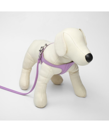  Комплект для собак Шлейка  28-31см + поводок 120см*1см из экокожи сиреневый