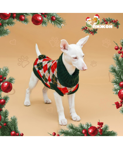 Свитер для собак Шахматы рL ДС29см ОШ29см ОГ29-49см Пижон Свитер для собак Шахматы рL ДС29см ОШ29см ОГ29-49см Пижон