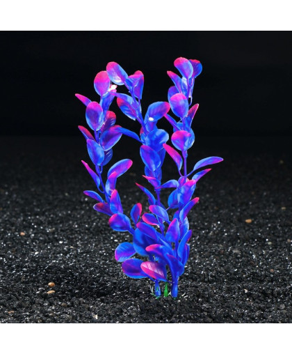 Растения аквариумное искусственное Бакопа фиолетовая 20см Пижон Растения аквариумное искусственное Бакопа фиолетовая 20см Пижон