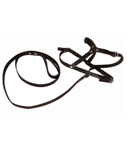 Шлейка кож. 15 сред+поводок 15 СА