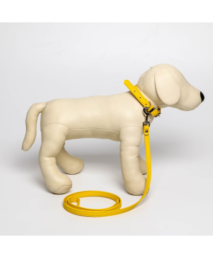  Комплект для собак Ошейник  26-34см*1,4см + поводок 120см*1см из экокожи желтый