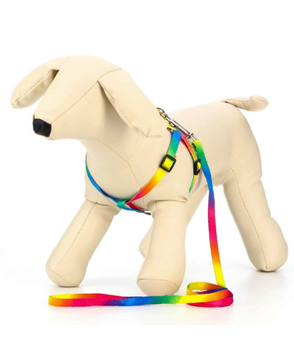  Комплект для собак Шлейка  24-34см*1см + поводок 120см*1см Радуга Пижон