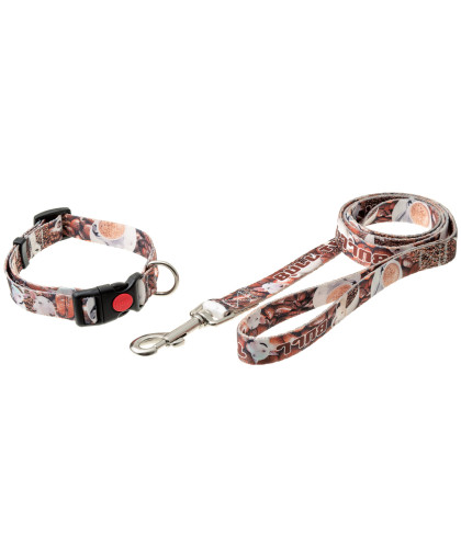  Комплект Фотопринт-Бультерьер  20 мм ошейник с фикс. замка+поводок 1,27 м, нейлон Пет Лайн
