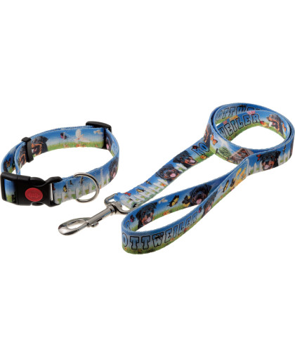  Комплект Фотопринт-Ротвейлер  25 мм ошейник с фикс. замка+поводок 1,27 м, нейлон Пет Лайн