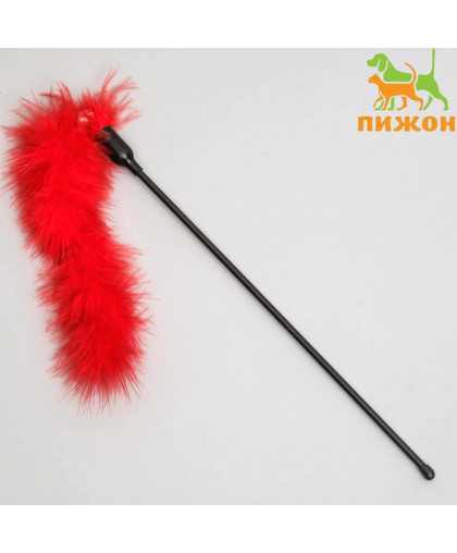Игрушка для кошек дразнилка Хвостик цвет в ассортименте Пижон Игрушка для кошек дразнилка Хвостик цвет в ассортименте Пижон