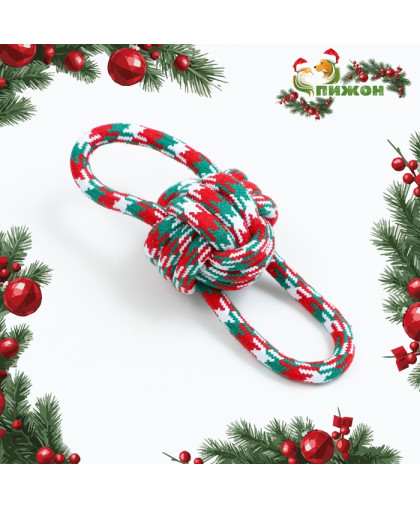 Игрушка для собак канатная Мяч с ручками 26см зеленая/красная Пижон Игрушка для собак канатная Мяч с ручками 26см зеленая/красная Пижон
