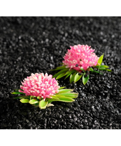 Растение аквариумное искусственное набор 2 шт микс цветов 7,5*4,5см Пижон Растение аквариумное искусственное набор 2 шт микс цветов 7,5*4,5см Пижон