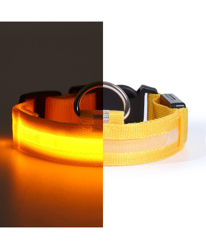  Ошейник для собак с подсветкой рS ОШ  35-43*2,5 см 3 режима свечения, желтый Пижон