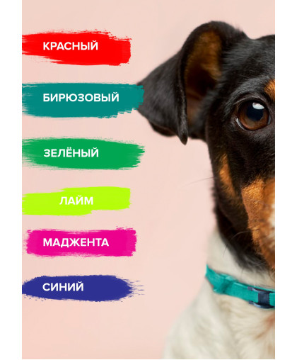  Дана Ультра Ошейник для собак  60см, красный*16